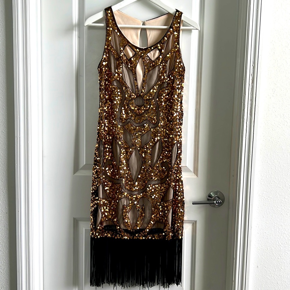 Vintage flapper dress costume